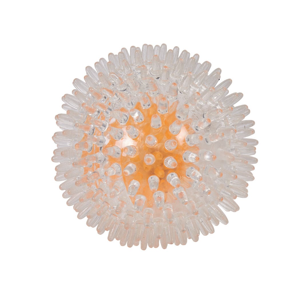 Balle lumineuse LED pour chien