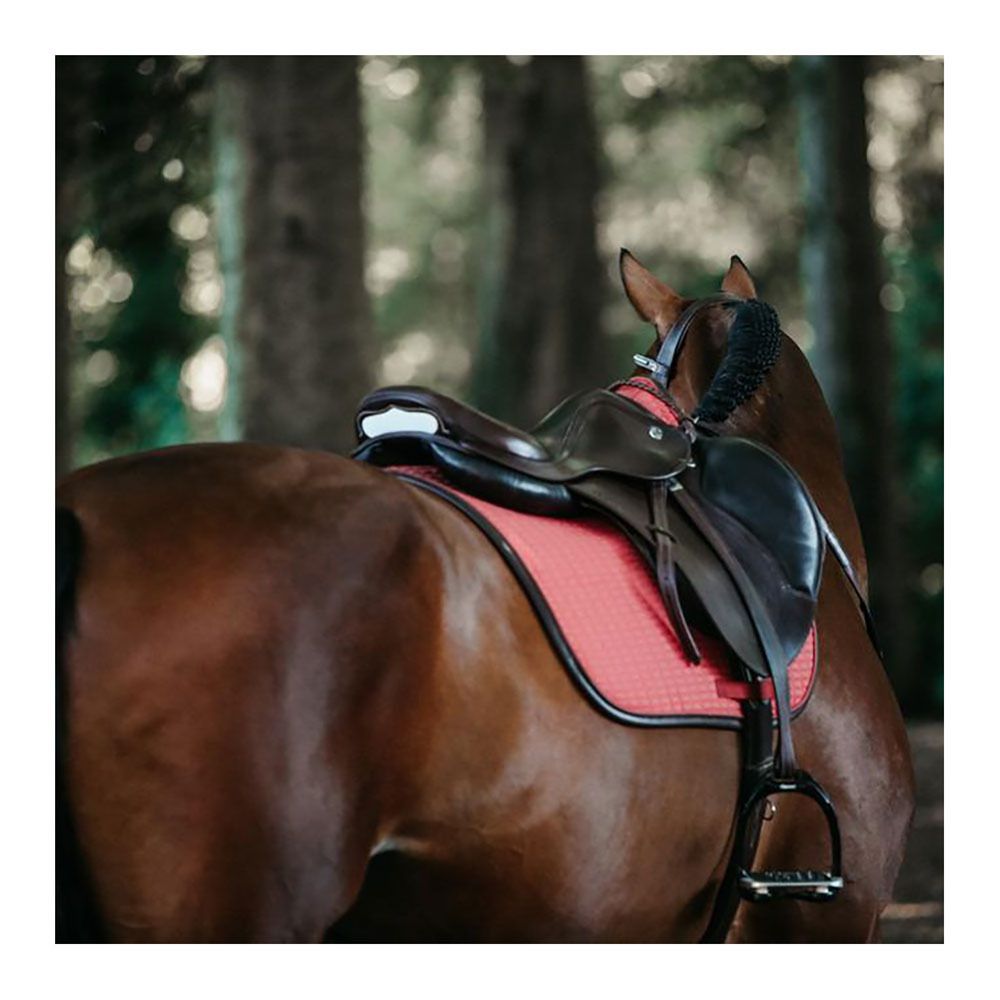 Kentucky COLOR EDITION LEATHER - Tapis dressage corail