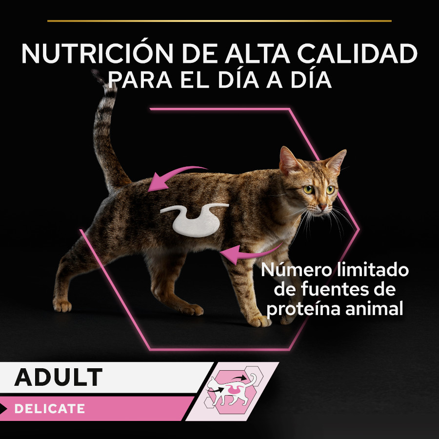 Mousse Pro Plan Delicado Rico em Peru para Gatos