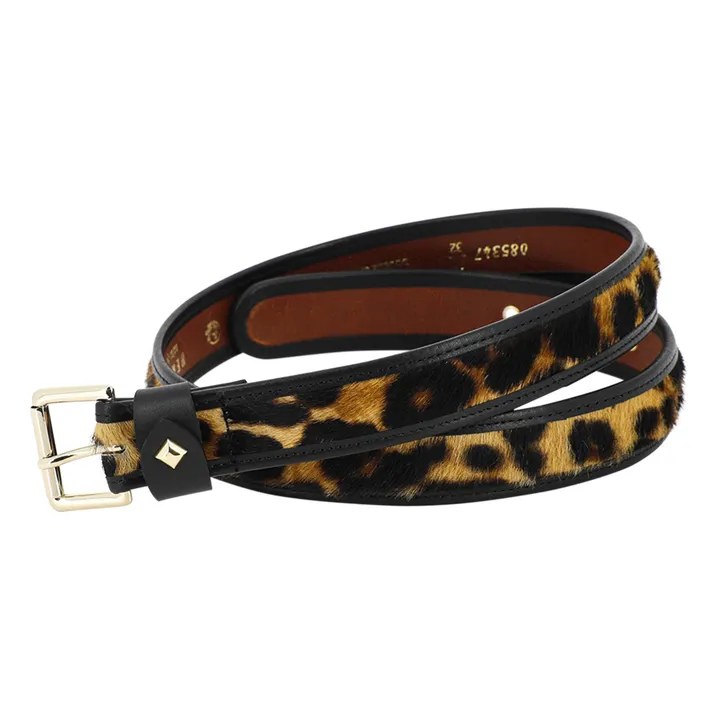 herbert frère soeur Ceinture Turenne Léopard | Léopard