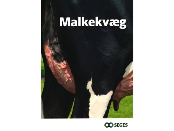 Malkekvæg | Jens Christian Holgaard, Per Justesen, Per Lykke Rasmussen, Peter Raundal, Lars Pedersen | Språk: Dansk