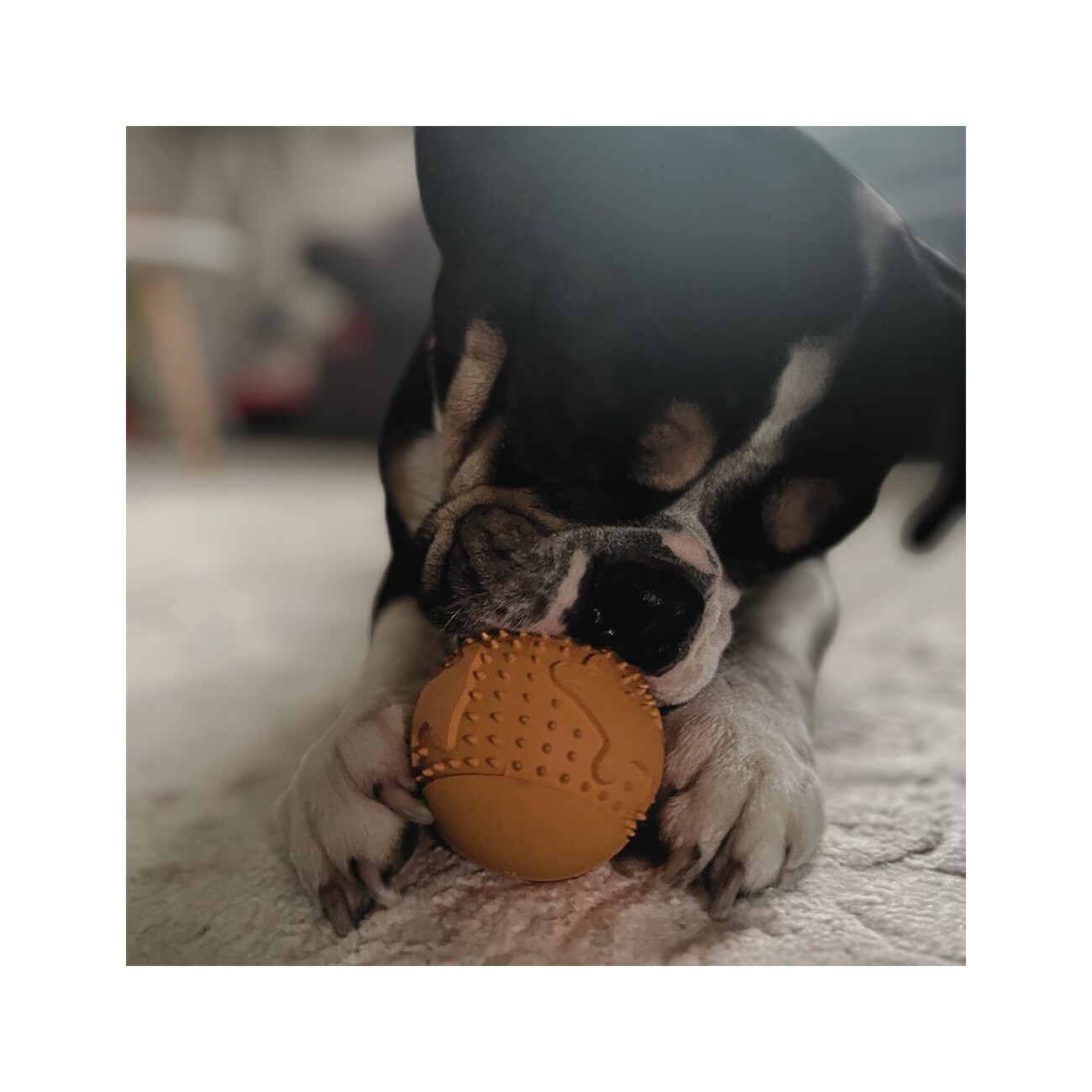 Wildfang Naturkautschuk Snackball - Snackball 