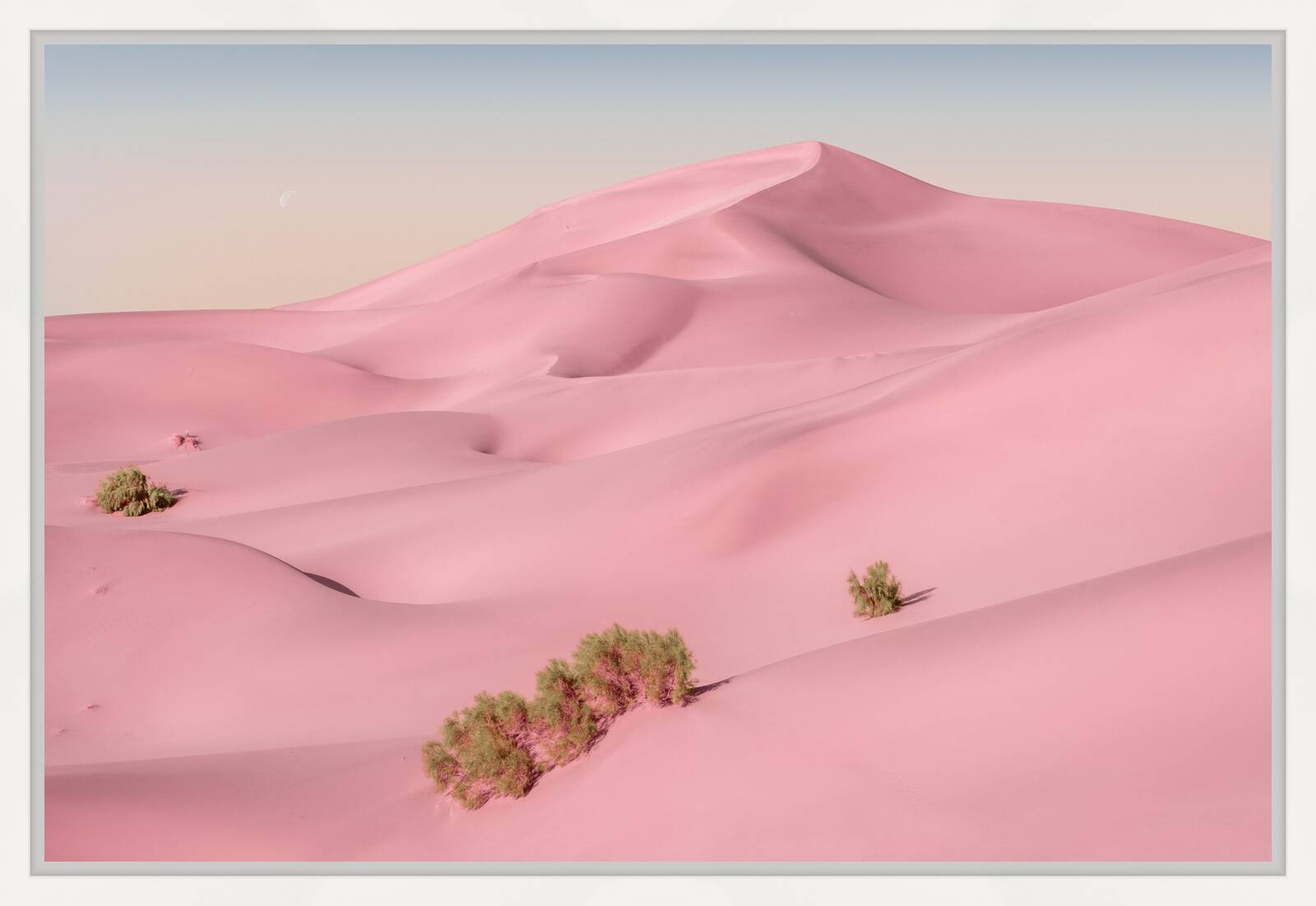 Fantasy 03 by Jonas Daley - Limited Edition. Edition of: 150. Signed.