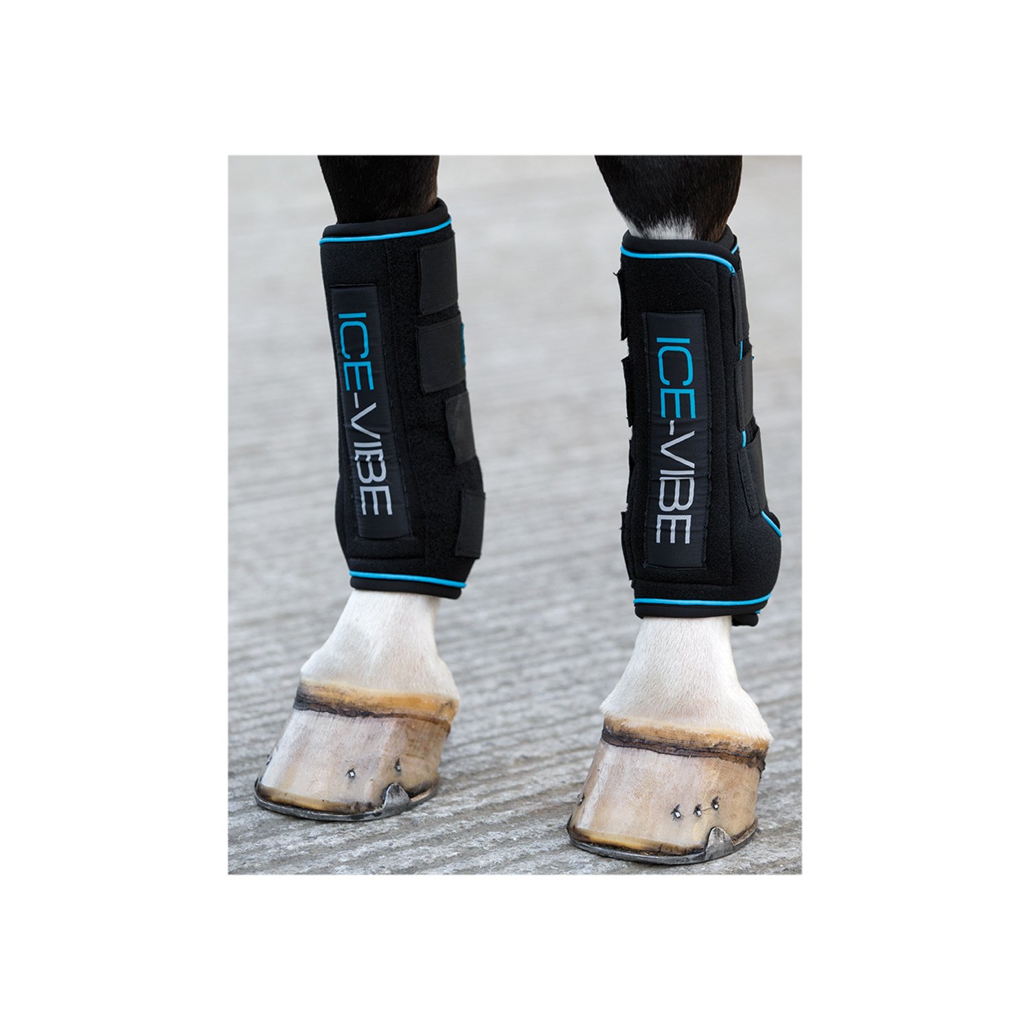 Horseware Ice-Vibe Gamaschen  - black/aqua