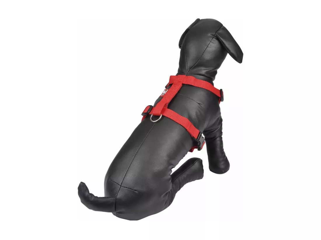 Harnais pour Chien 