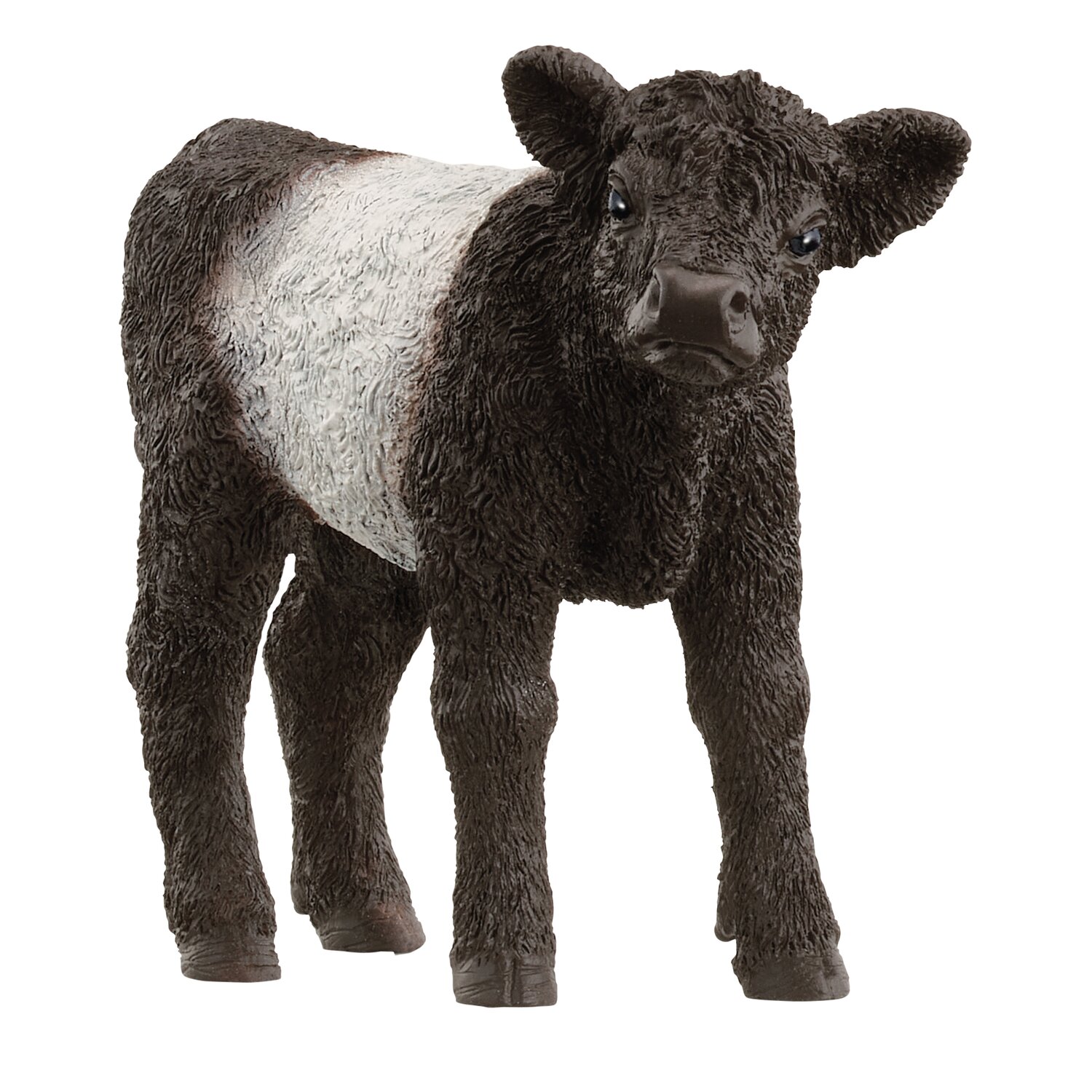 Schleich Farm World Galloway Kalb