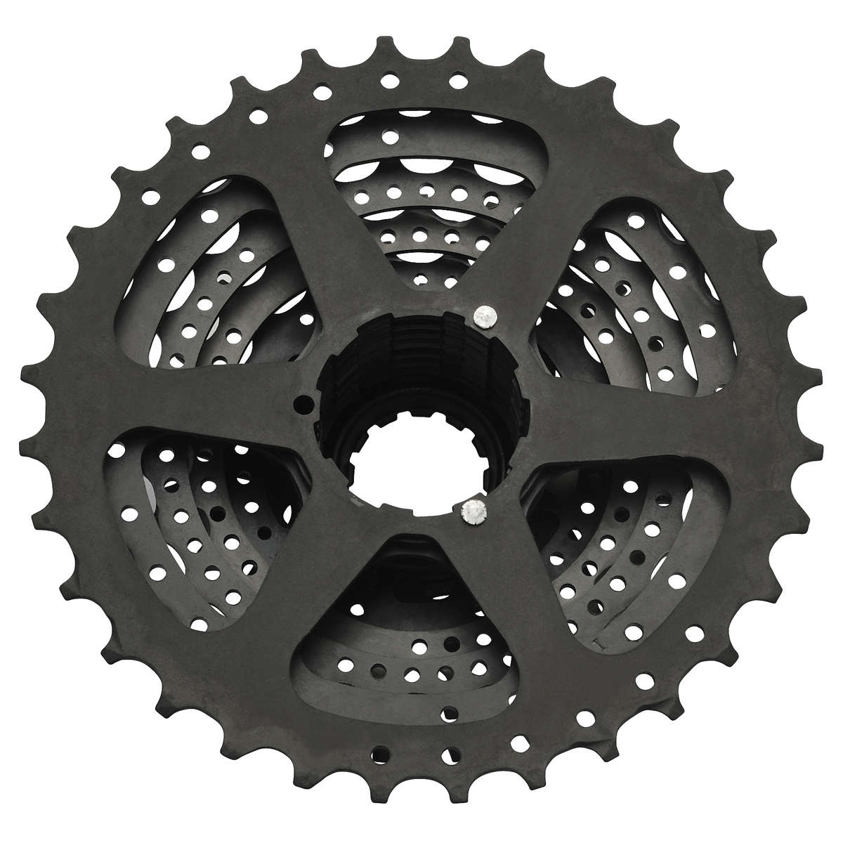 Shimano Altus CS-HG31 Cassette 8 Speed