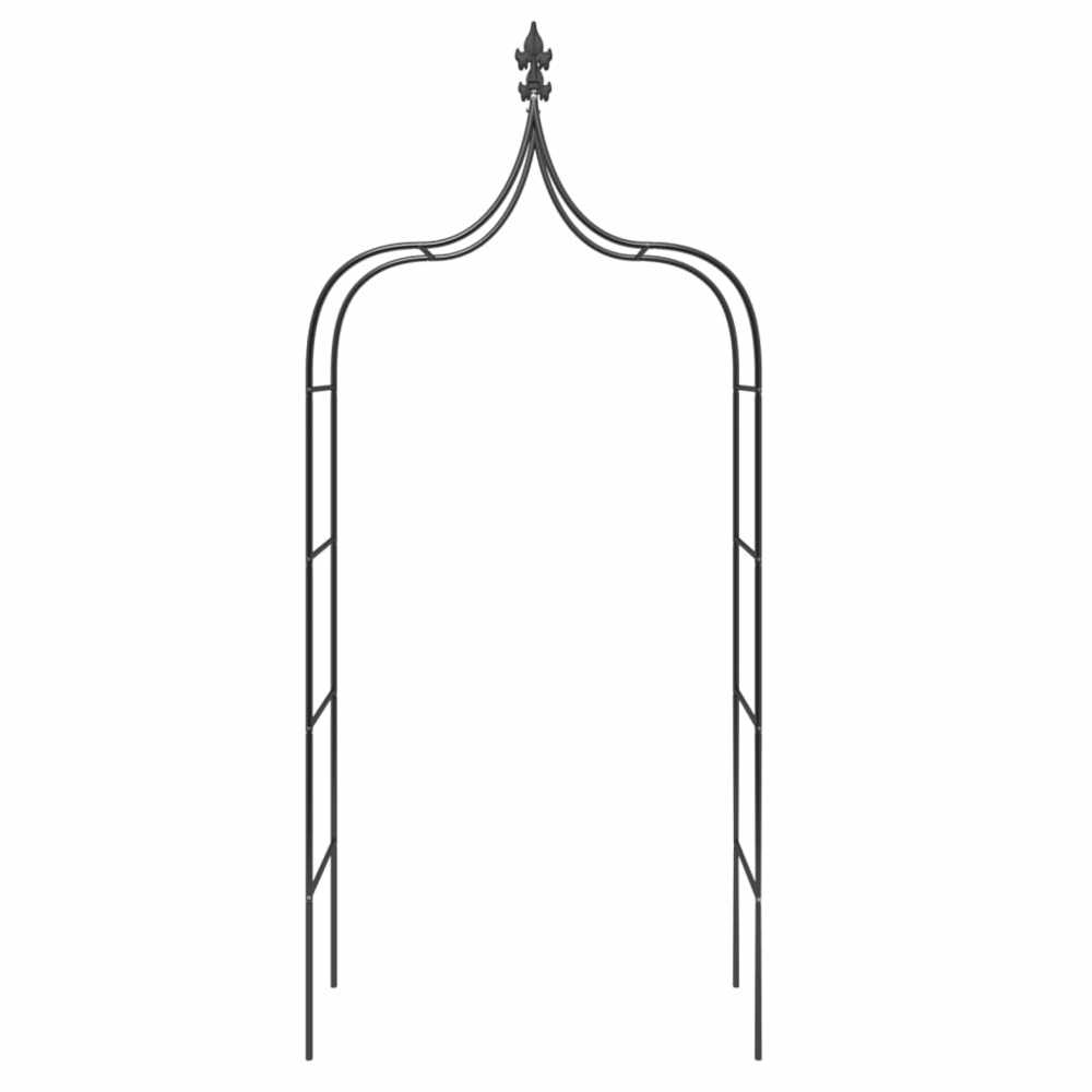 Arches de jardin 2 pcs noir 120x38x260 cm acier