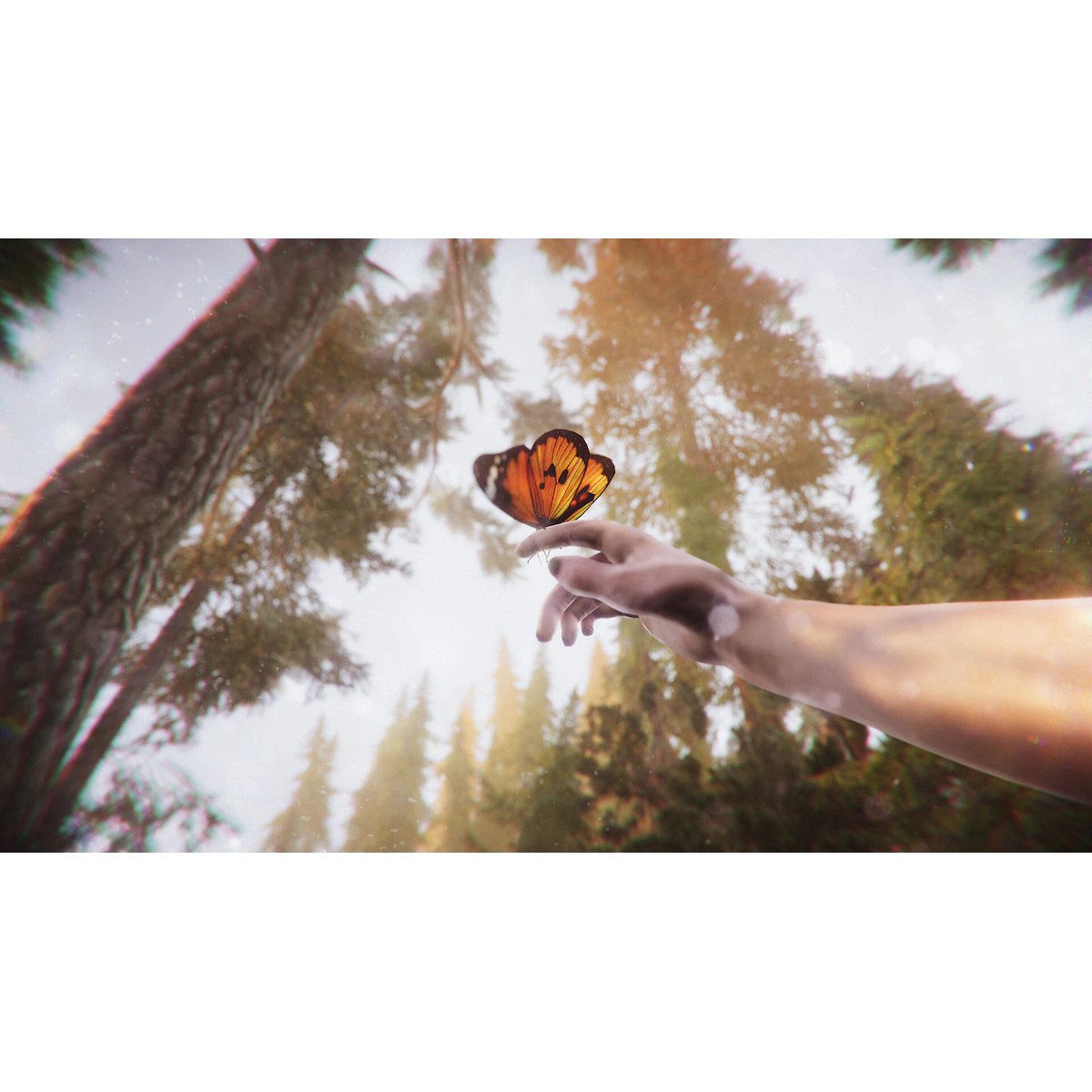 The Forest Cathedral - PC Windows