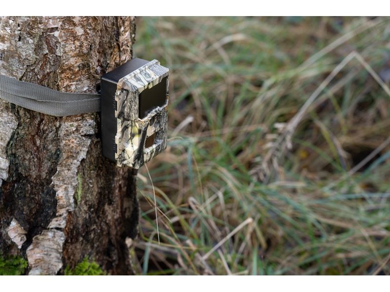 Dörr Kamera Wildkamera SnapShot Mini 5.0 Pro Überwachungskamera für hochauflösende Wildtierbeobachtung und Sicherheitsüberwachung