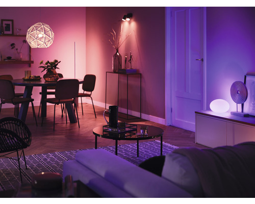 Philips Hue Lamp White & Color Ambiance A60 Dimbaar Mat E27/9W (75W) 1100 lm RGBW 2000K-6500K - Compatibel met SMART HOME van Hornbach