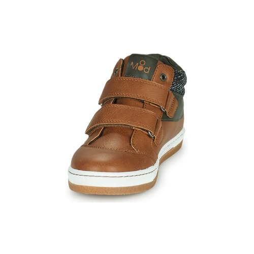 Mod'8 - KYNATOL - Cognac