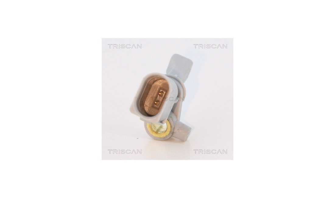 ABS sensor