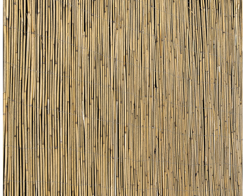 Privacyschermmat riet 600 x 100 cm