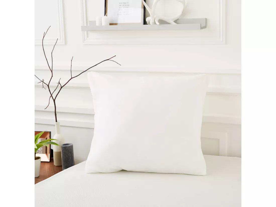 Lot de 2 protèges oreillers anti-acariens et anti-punaises sans traitement 65x65