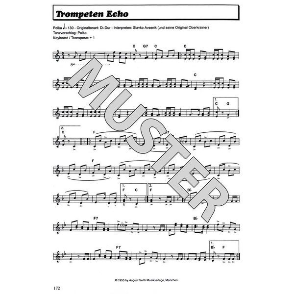 Hildner Musikverlag Der Alleinunterhalter