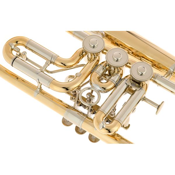 Gerd Dowids BZ-Series Bb-Flugelh. G88 raw