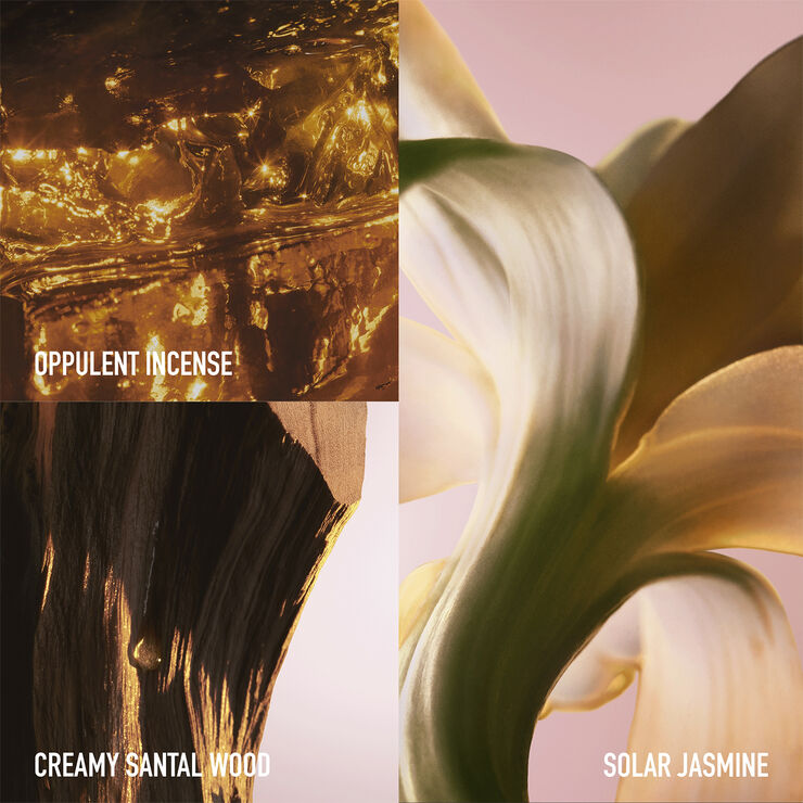 Rabanne Fame Intense