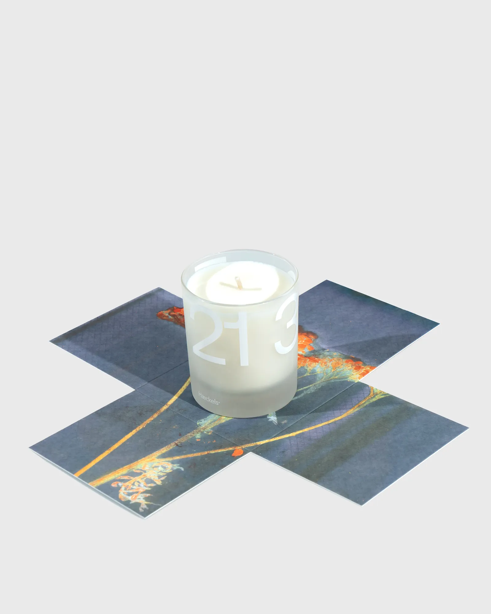 Haeckels Pegwell Candle - 240 ml