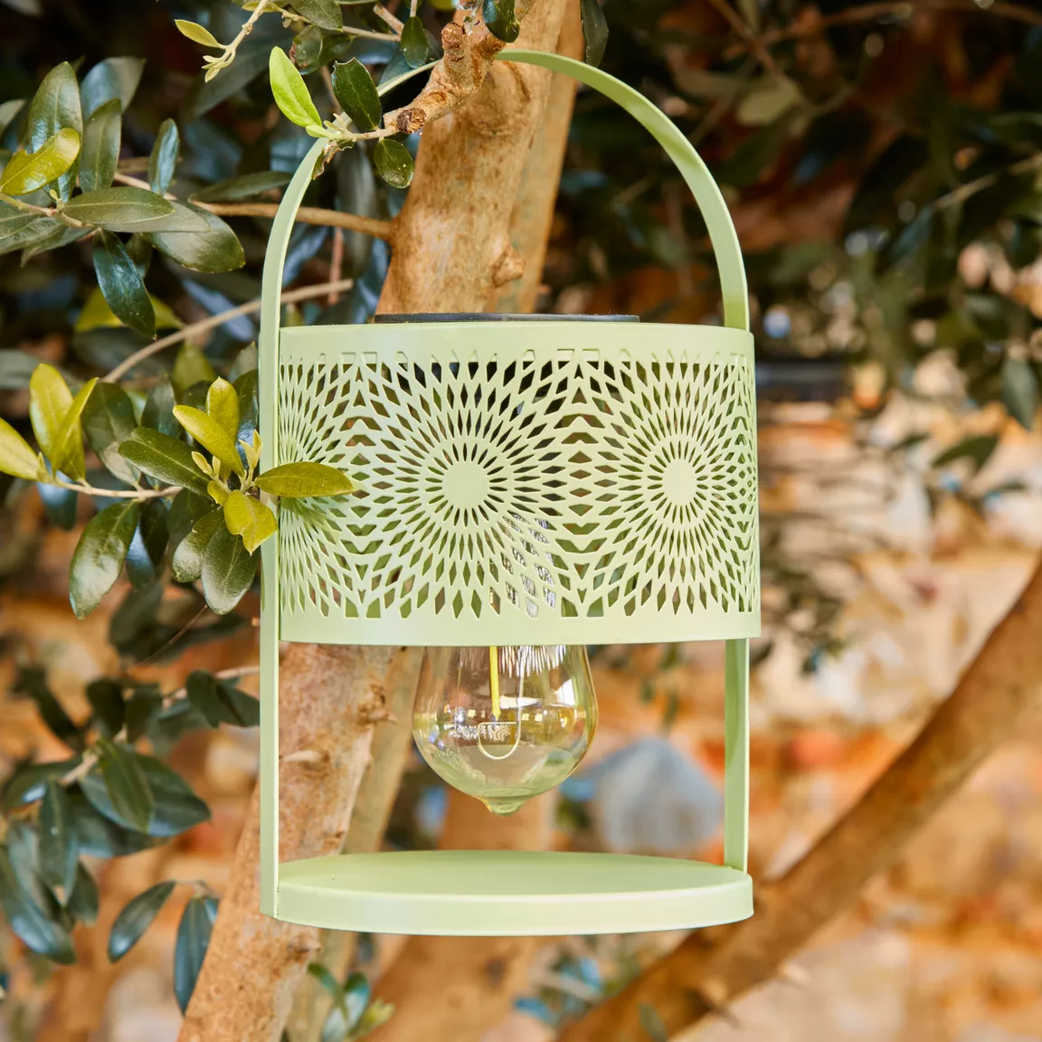 Lanterne solaire de table (H22,5 cm) à LED Vert clair
