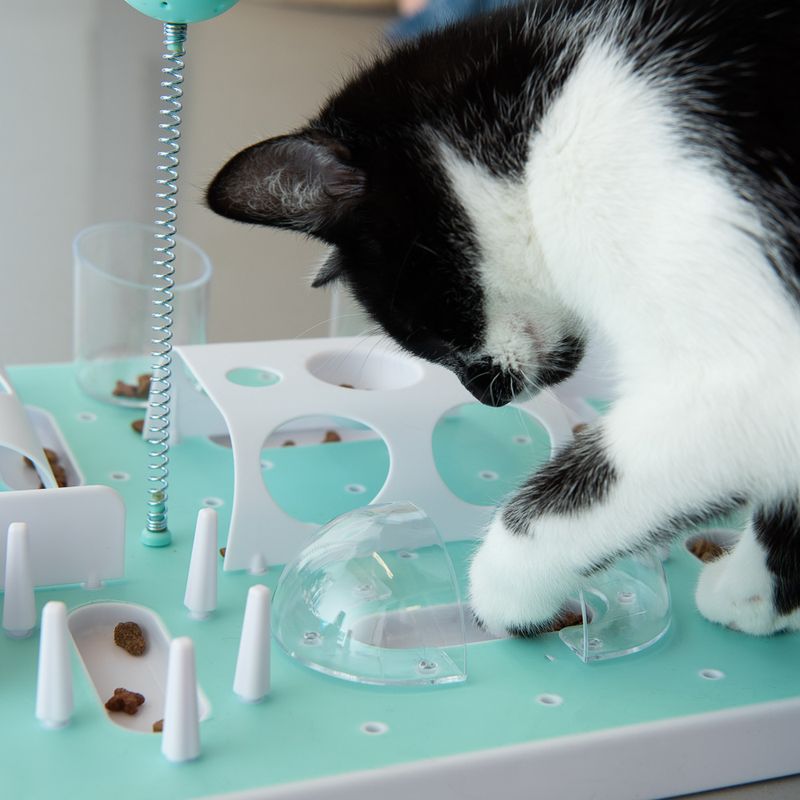 Jouet Slo-Mo pour chat