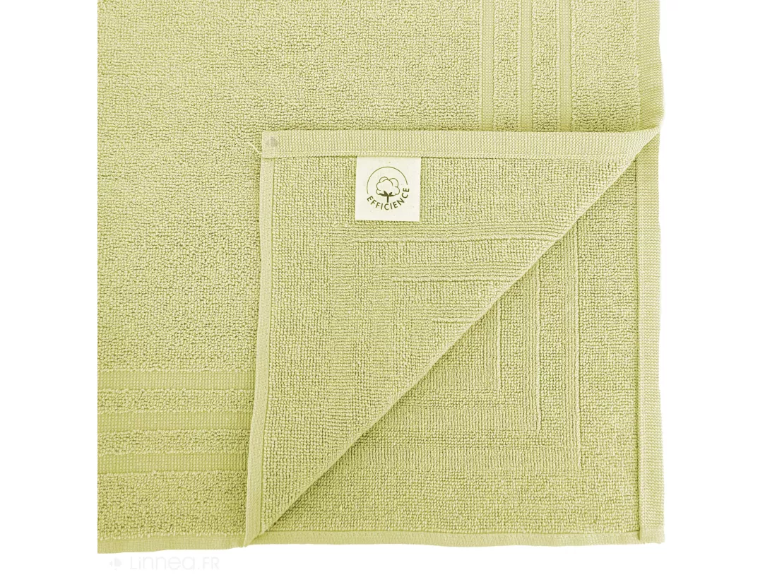 Tapis de bain 50x70 cm EFFICIENCE PURE vert Menta