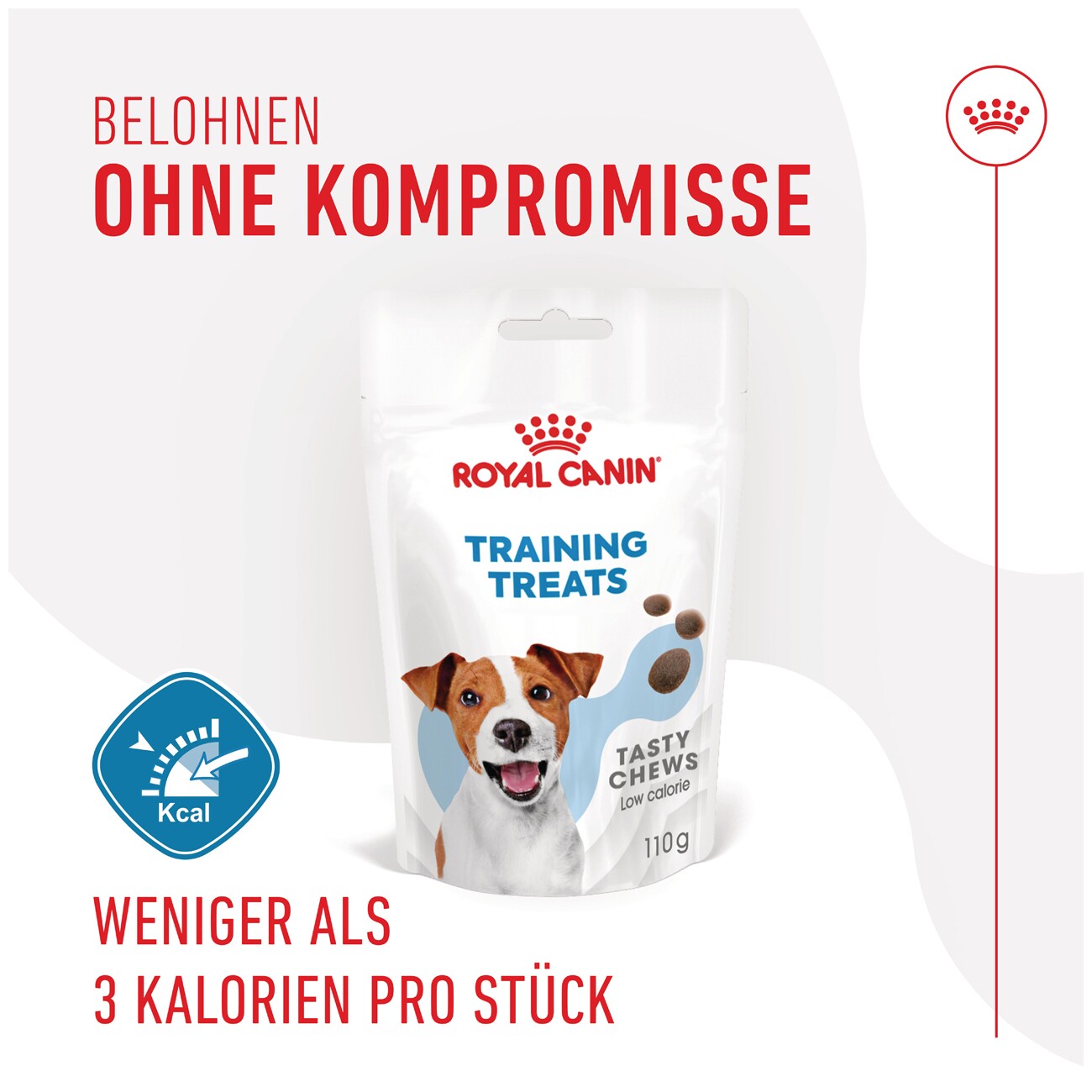 ROYAL CANIN Training Snacks