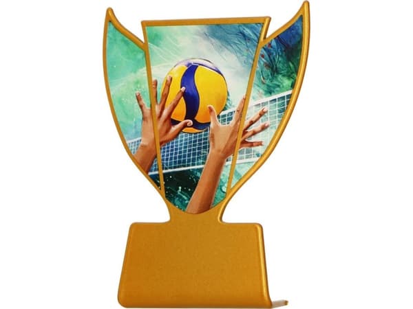 Victoria Sport Metal trofé - Volleyball