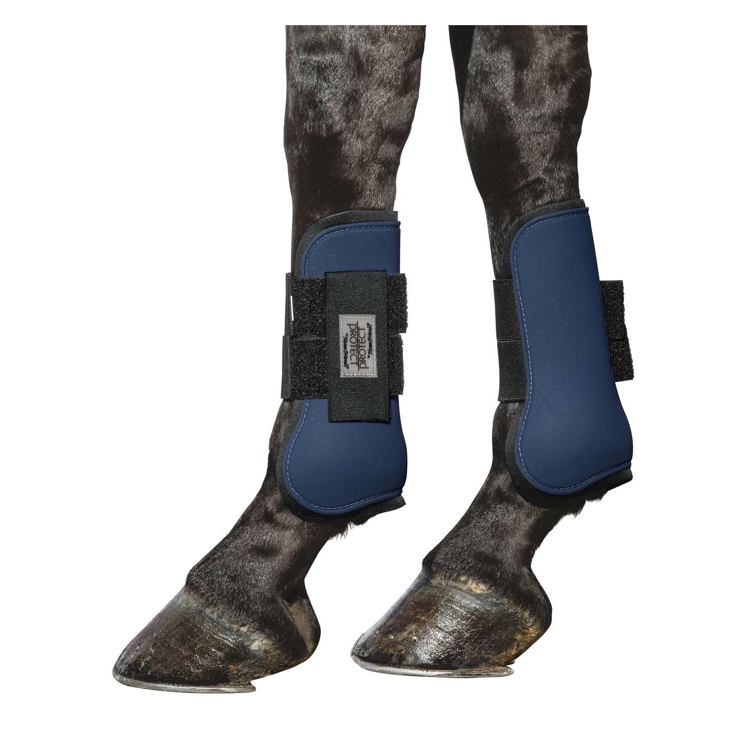 PROTECT by Horse-friends Gamaschen, vorne  - navy