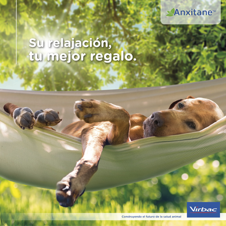 Comprimidos relaxantes Virbac Anxitane para cães e gatos.