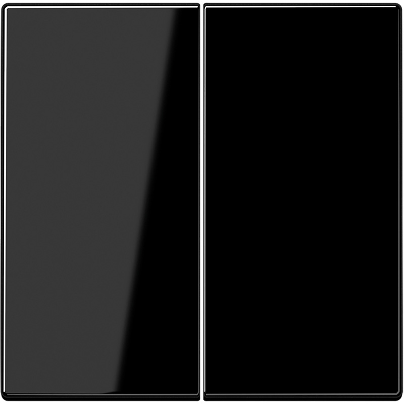 Jung LS990 schakelwip dubbel Glanzend zwart
