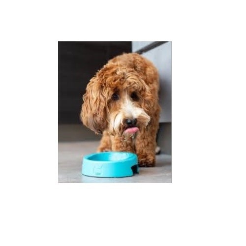 Tigela antibacteriana para cães Hero Hownd, cor azul-turquesa