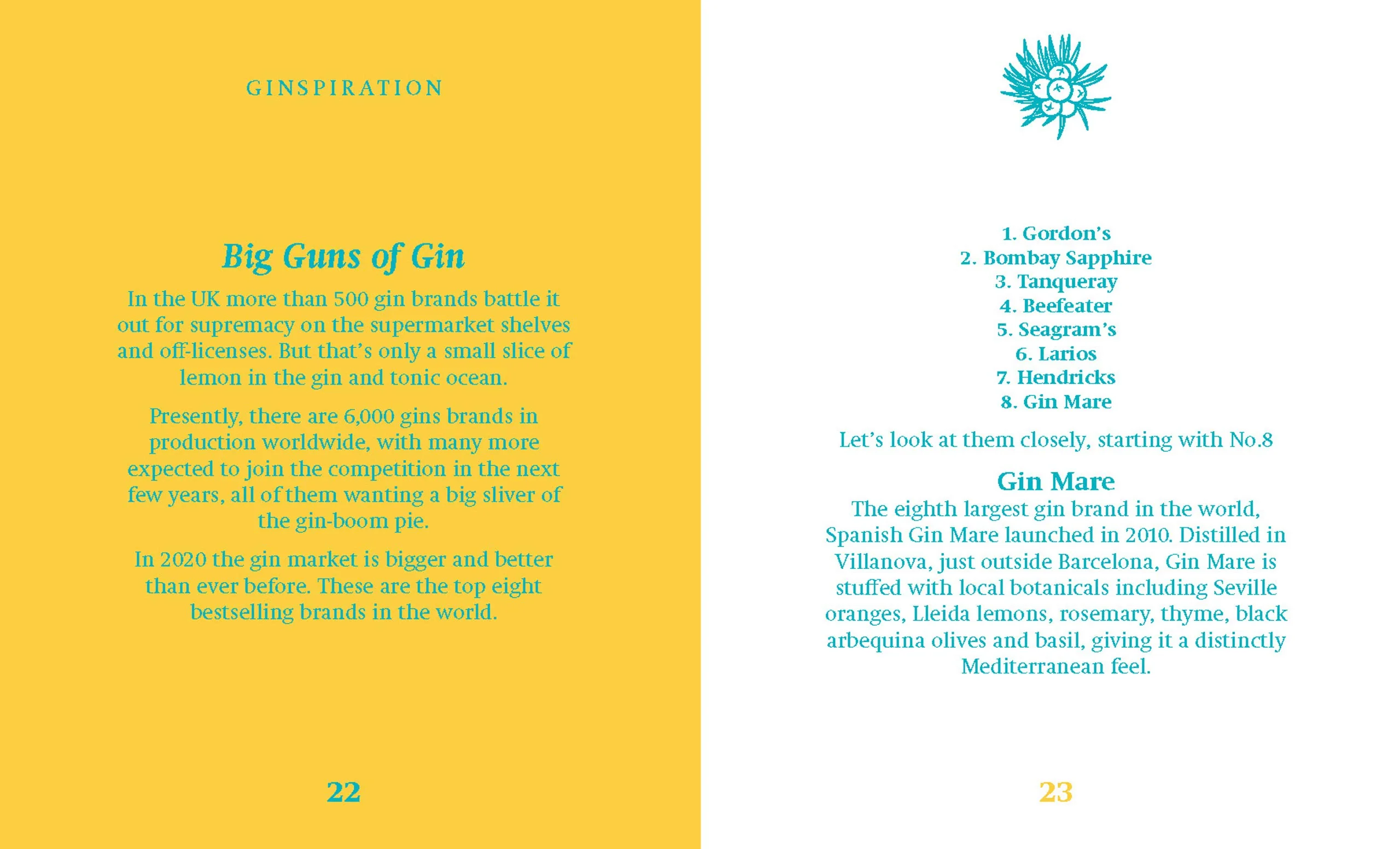 New Mags  The Little Book of Gin bog