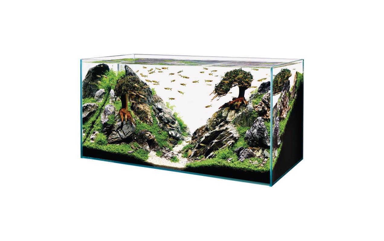 Aquarium ScaperLine 100, 250 l<br>ScaperLine Aquarien aus Optiwhite-Glas