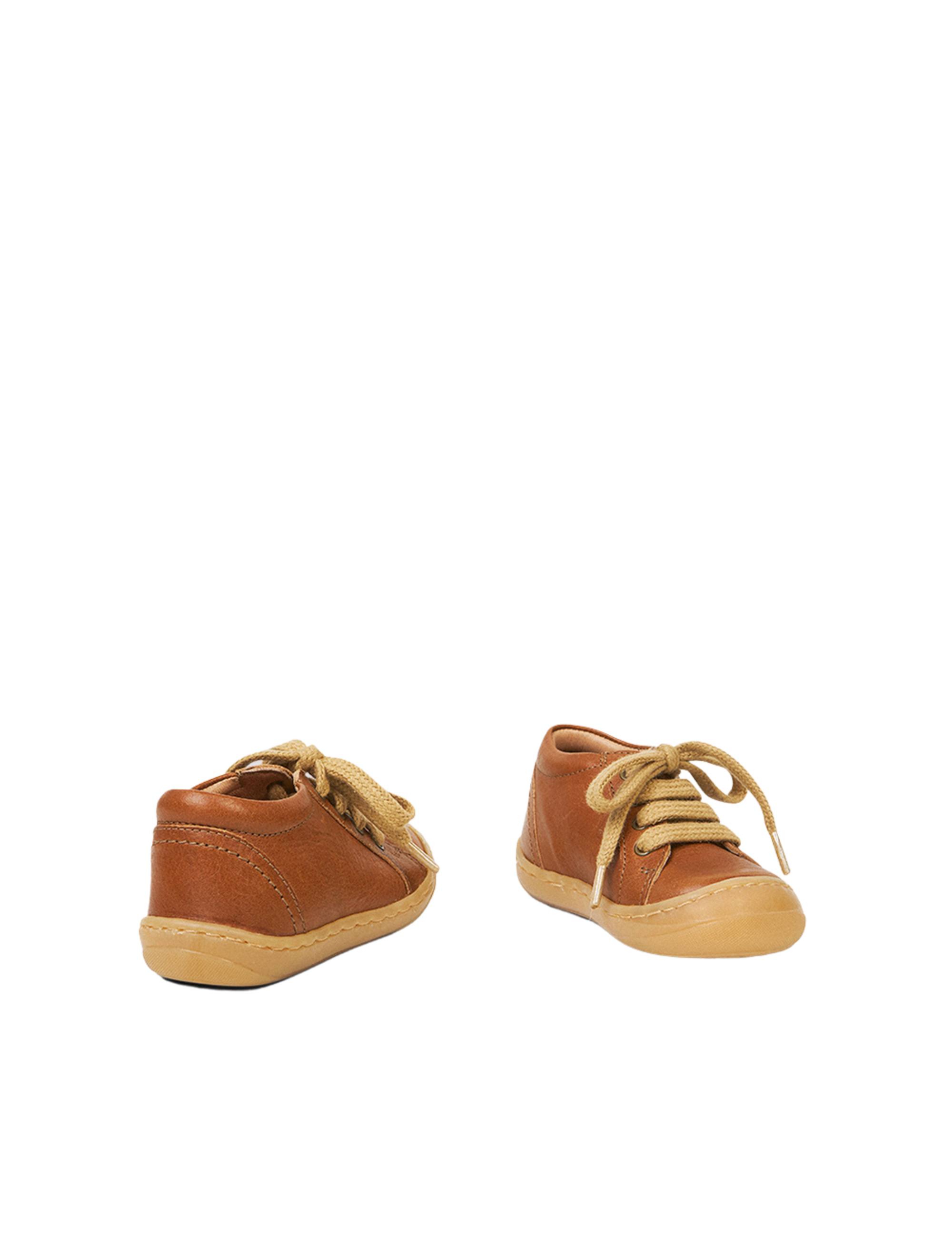 Everyday shoe Lace - Cognac