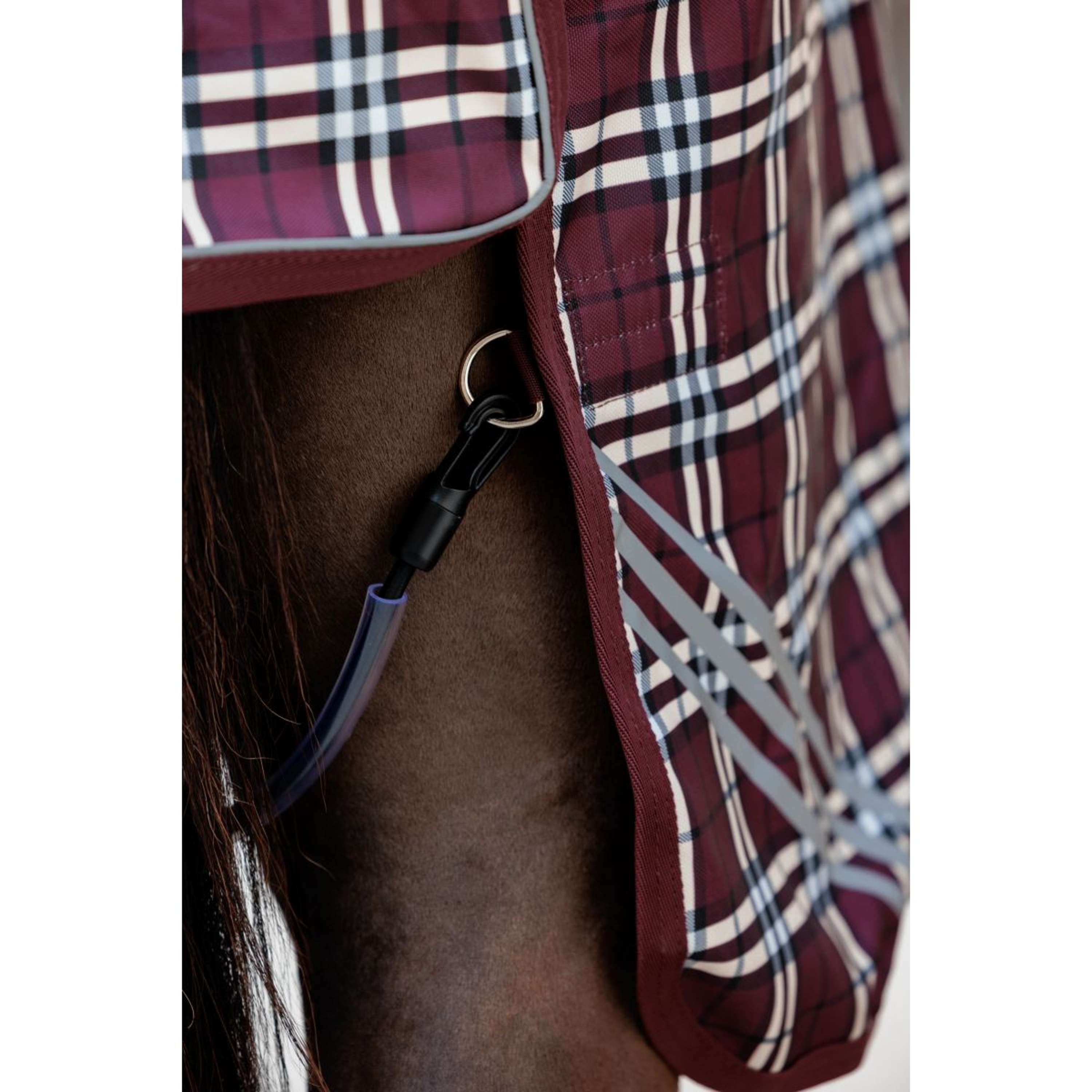 Kentucky Winterdeken All Weather Waterproof Comfort 200g Bordeaux