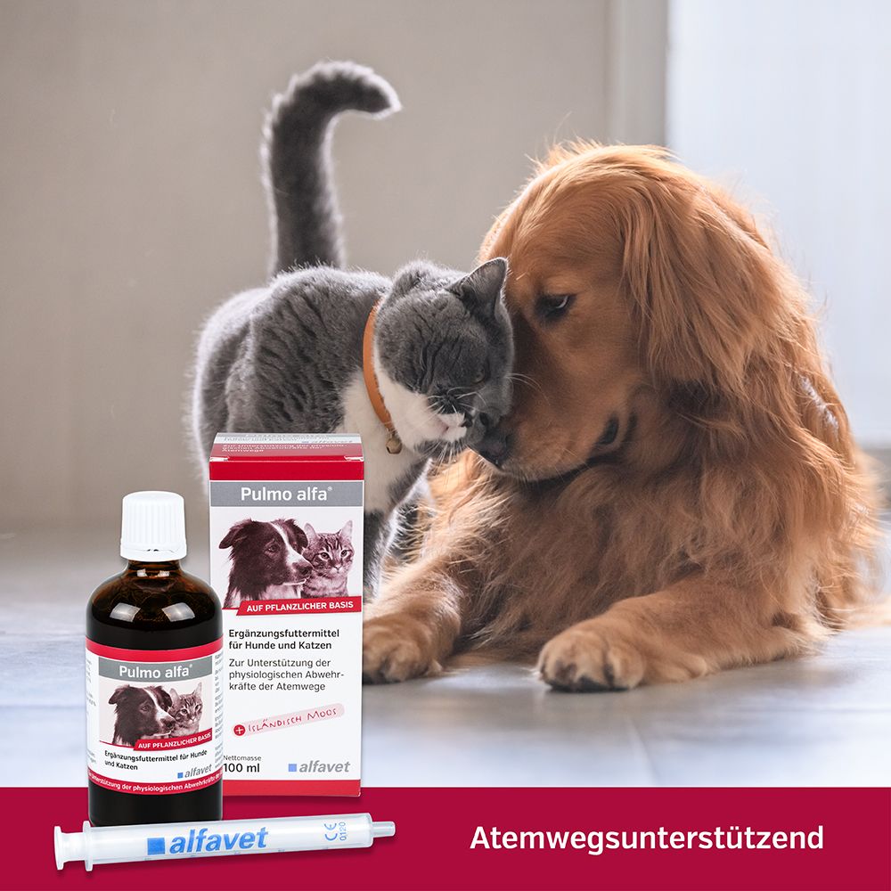 Pulmo alfa® für Hunde und Katzen