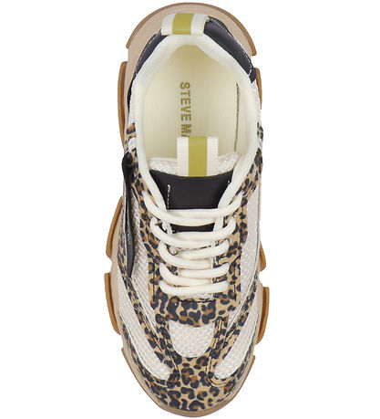 Steve Madden - Besitz - Brown Leopard/Black