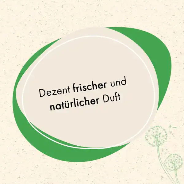 Vollwaschmittel 20 WL