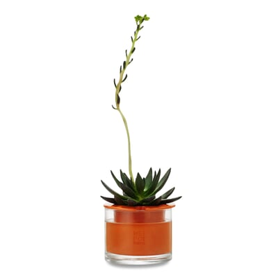 Pflanzgefäß Wet Pot Systems, Ø 12 cm