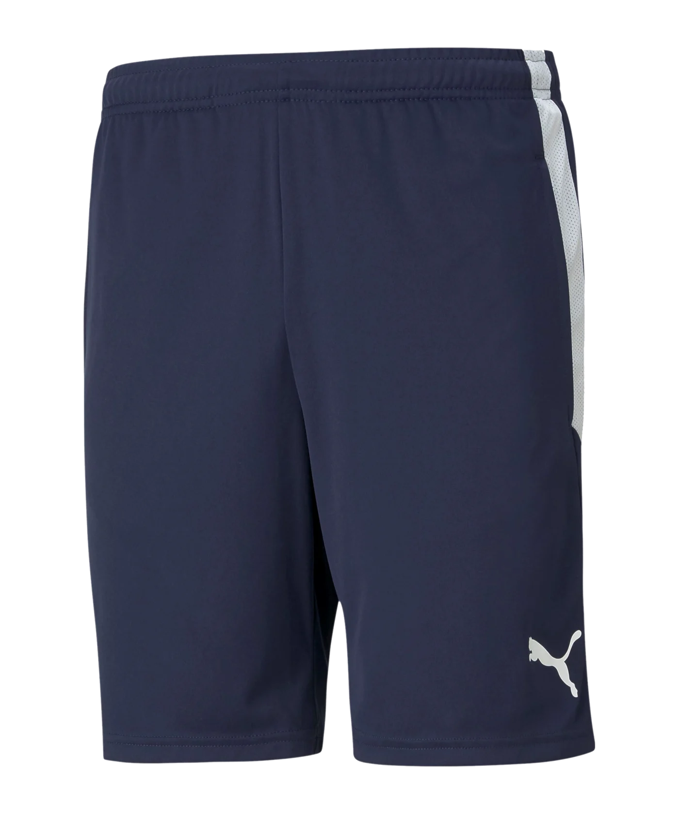 PUMA teamLIGA Training Short Blau F06