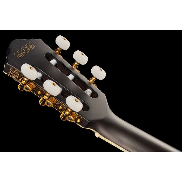 Ibanez Signature Tim Henson TOD10N