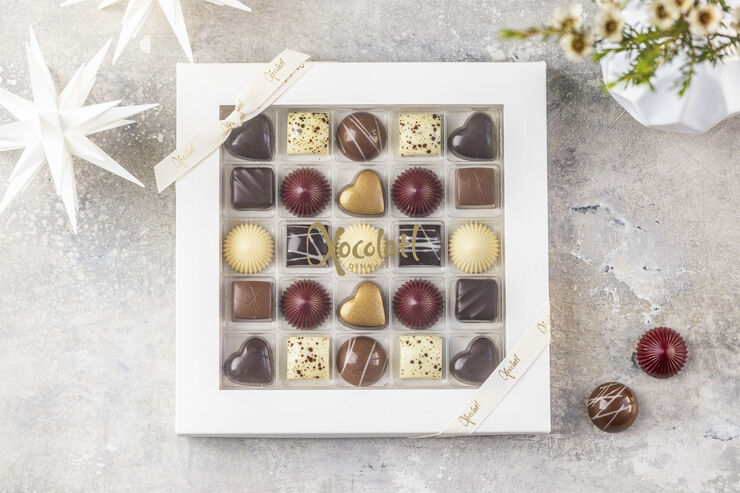 Xocolatl CHRISTIANSFELDER STAR 25