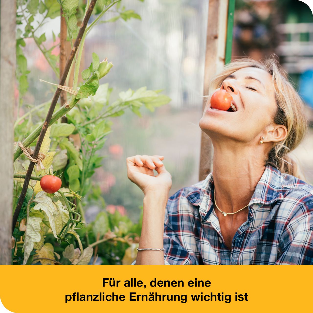 vitamin D-Loges® 7.000 I.E. pflanzlich