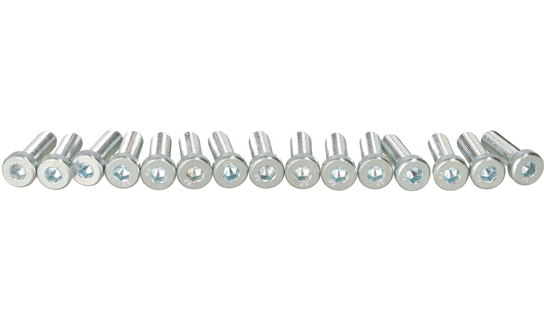 Unbraco bolte 6x20 mm - 15 stk.