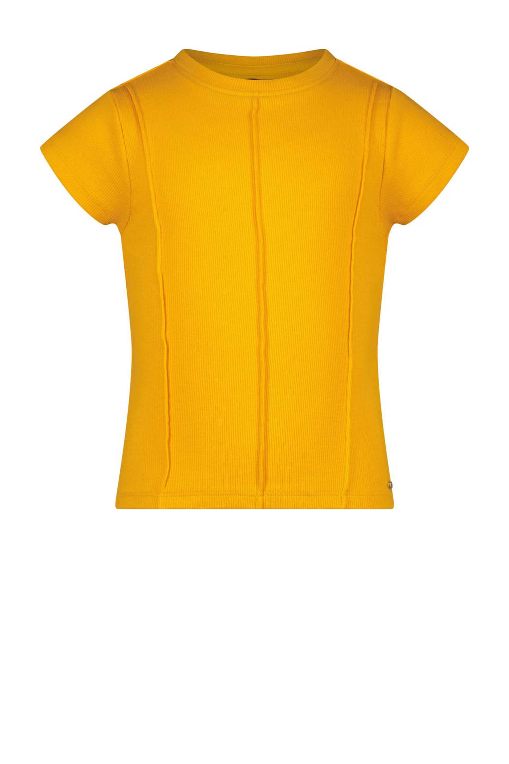 Raizzed T-shirt Hala oranje