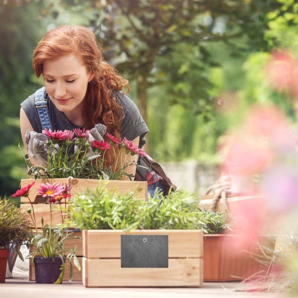 10 planteskilt i skifer
