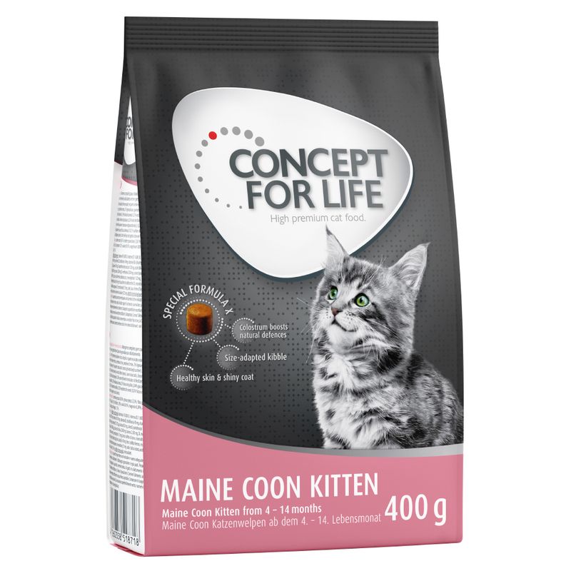 Concept for Life Maine Coon Kitten pour chaton