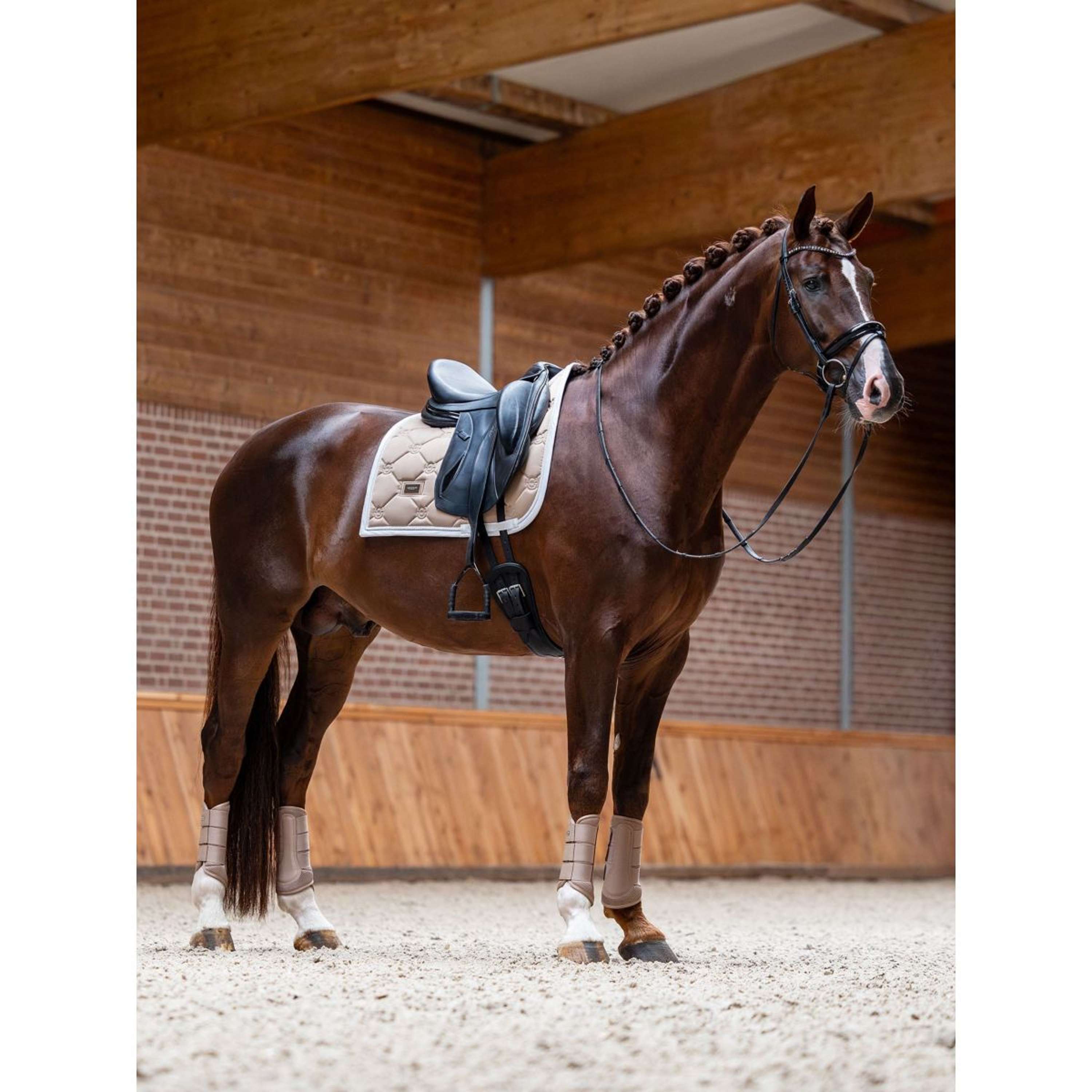 Equestrian Stockholm Zadeldekje Dressuur Sand