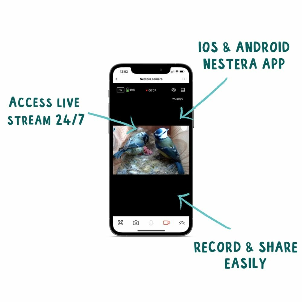 Nichoir avec caméra wifi